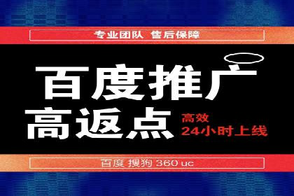 行业领先的SEM投放效果案例解析